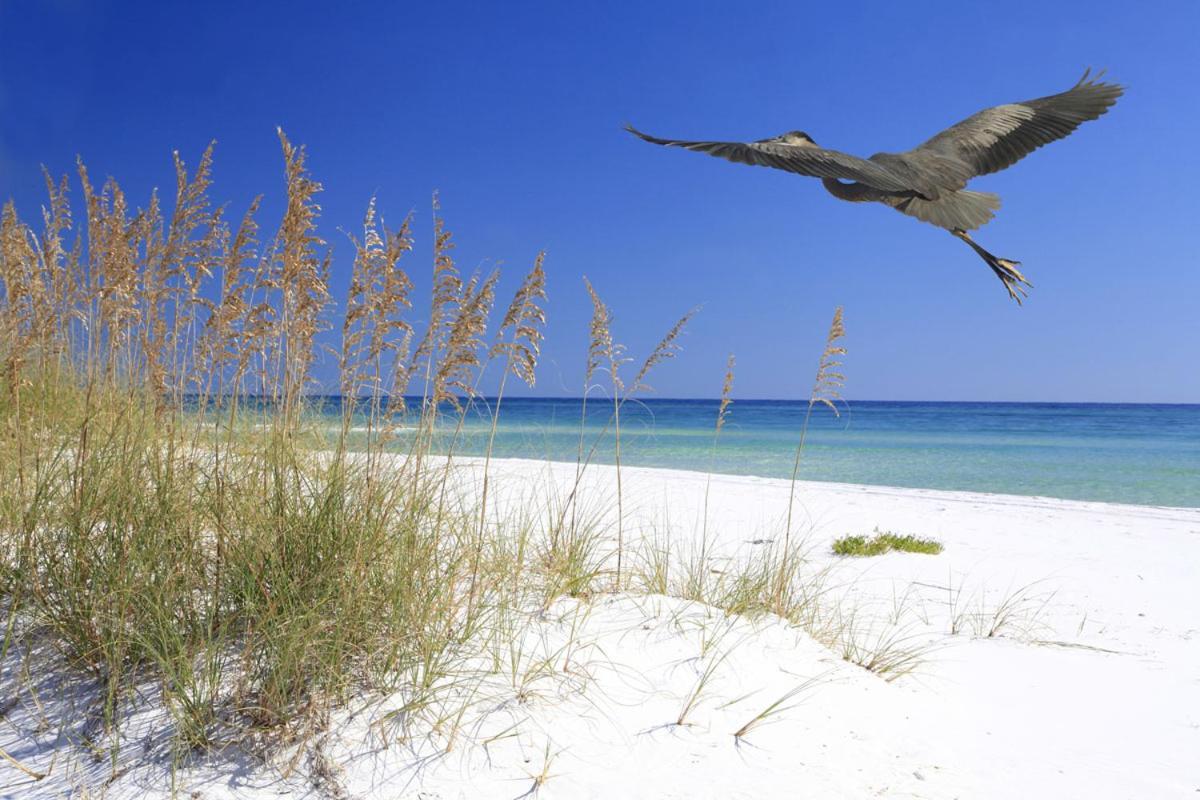 Cozy Canaveral Beach Condo! Next To Nasa Launch Site Cape Canaveral Exterior foto
